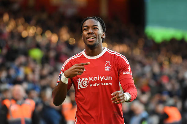 水平的竞技 水平的竞技