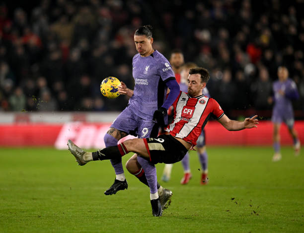 博洛尼亚欲 博洛尼亚欲