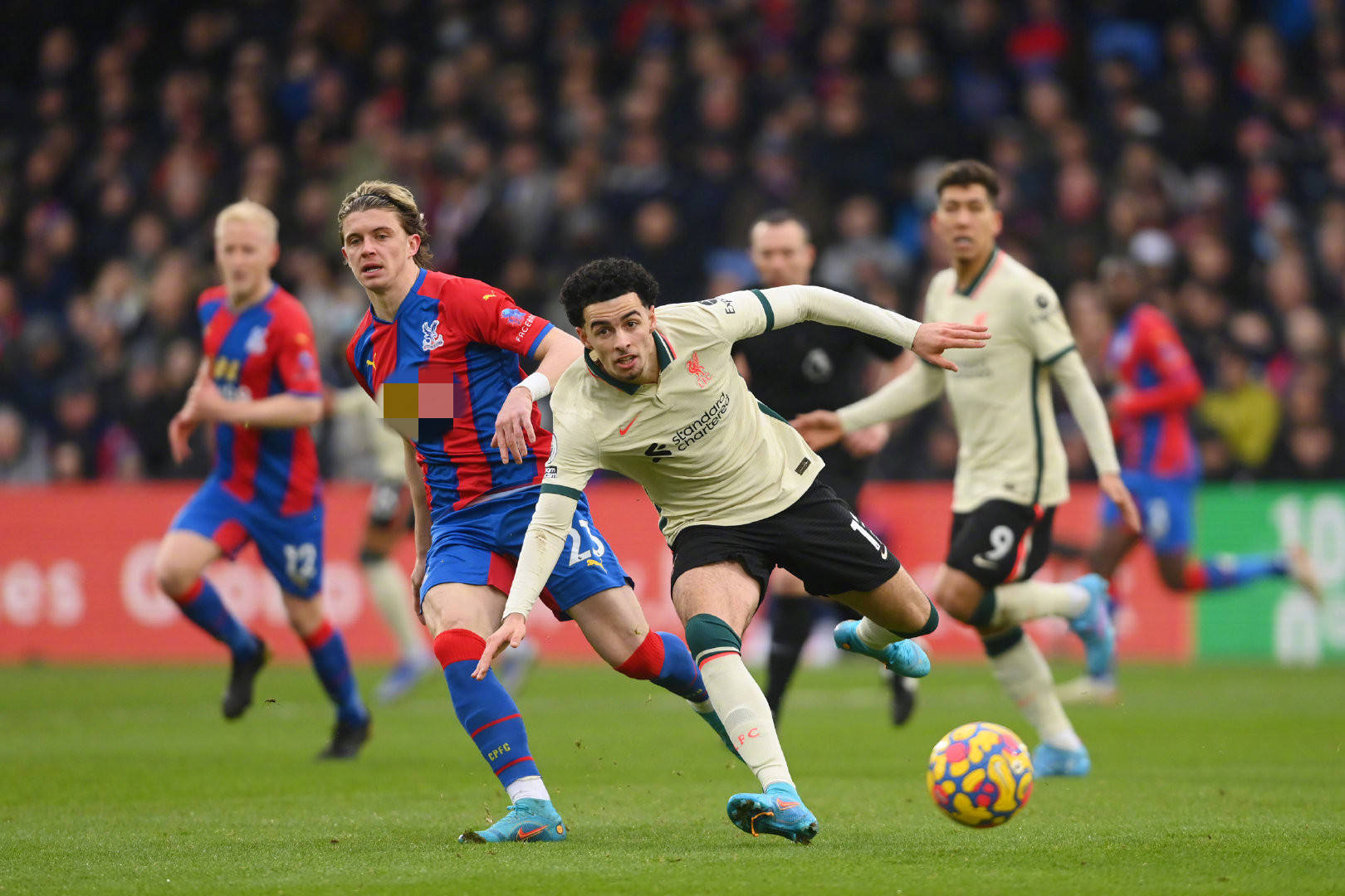 以及国际米 以及国际米