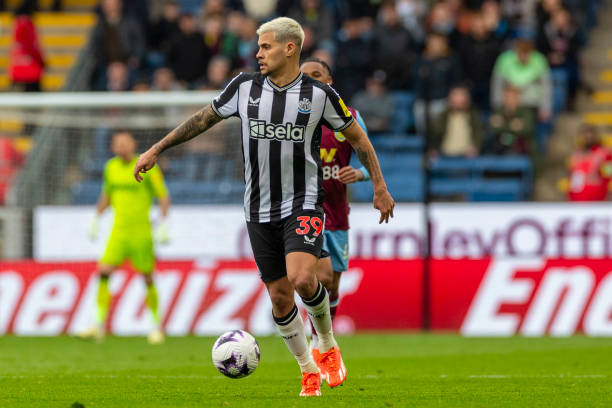 希望的阶段 希望的阶段